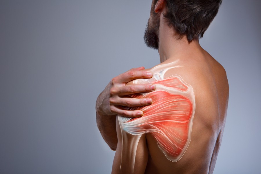 La tendinopathie du supra épineux est-elle une maladie professionnelle ?